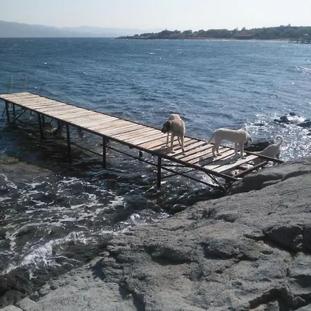 Assos Sivrice Deveboyun Misafir Evi Apartment