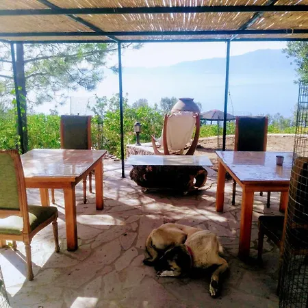 Apartment Assos Sivrice Deveboyun Misafir Evi